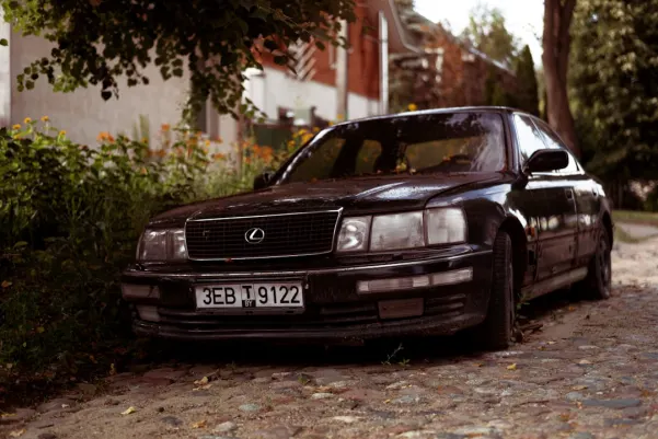 WinFest Kasyno Aplikacja Android/iOS